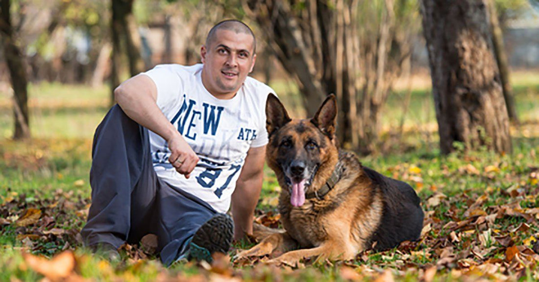 12 Ways To Improve The Bond With Your Dog