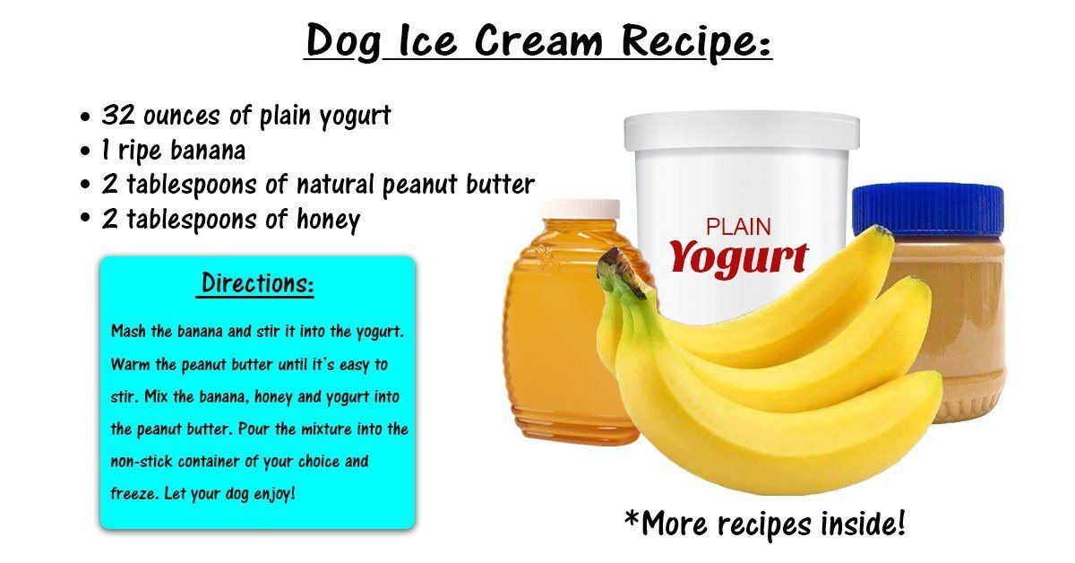 Dog ice clearance cream diy