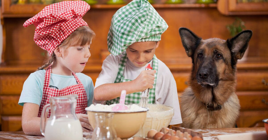 Quick Nutrition Tips For Your German Shepherd