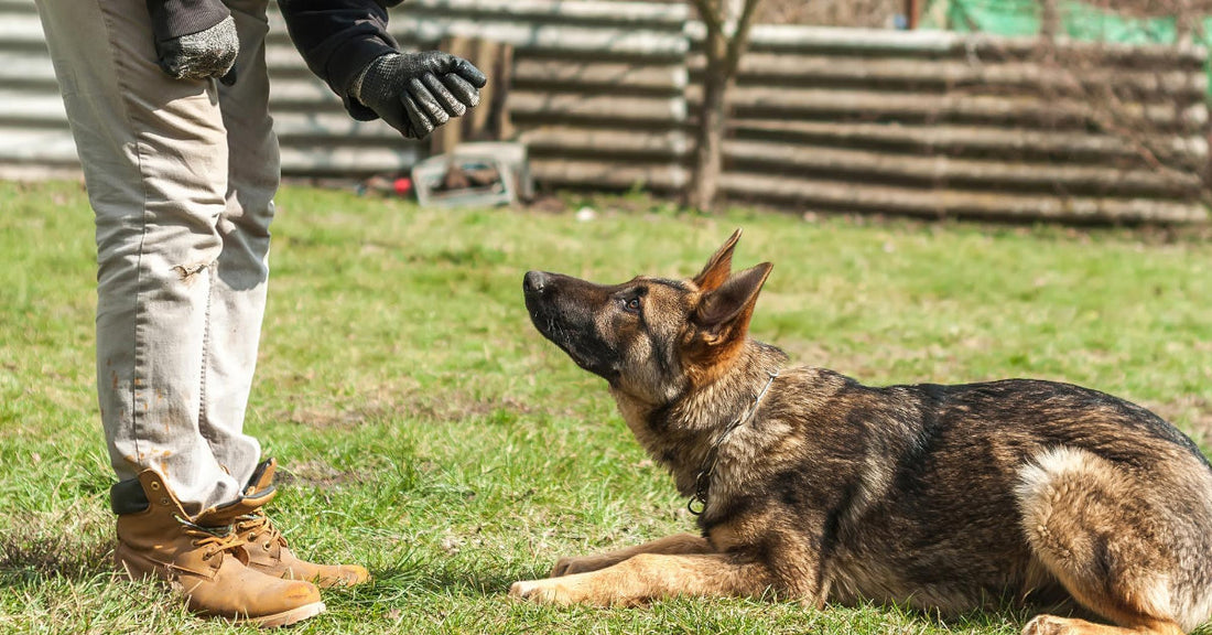 Should You Punish Bad Behavior?