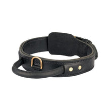 FOR DOG TRAINERS - Extra Durable 2 Ply Leather Dog Collar With Handle in 17 in, durable for dogs