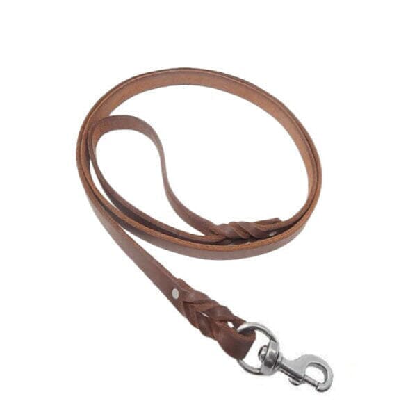 GSS 3 4 Heavy Duty Harness Leather Dog Leash with Stainless Steel Clasp