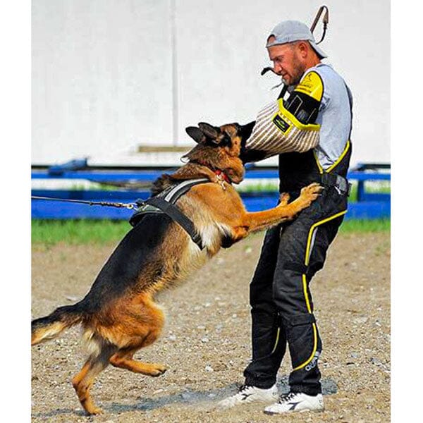 FOR DOG TRAINERS - Intermediate Jute Dog Training Sleeve (Left Arm) in , durable for dogs