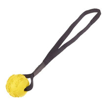 K9 EVOLUTION - MCRS Magnetic Ball 2.5" in Regular, durable for dogs