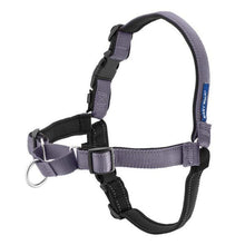 PETSAFE - Deluxe Easy Walk® No Pull Harness in , durable for dogs