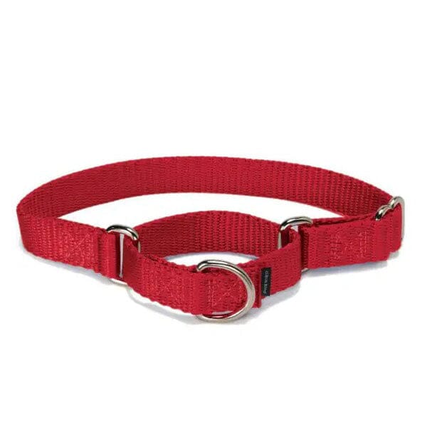 PETSAFE - Martingale Collars in Red, durable Pet Collars & Harnesses for dogs