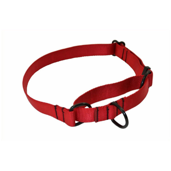 RAY ALLEN - Martingale Nylon Collar in Red, durable Pet Collars & Harnesses for dogs