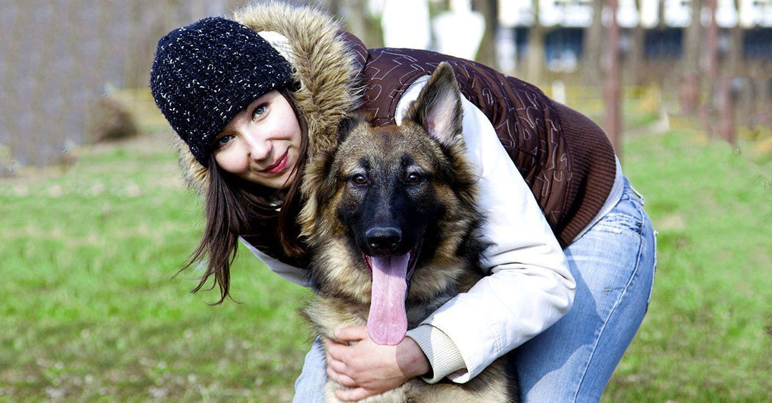 10 Things All German Shepherd Owners Have In Common