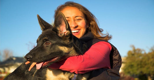 10 Things German Shepherd Owners Have In Common