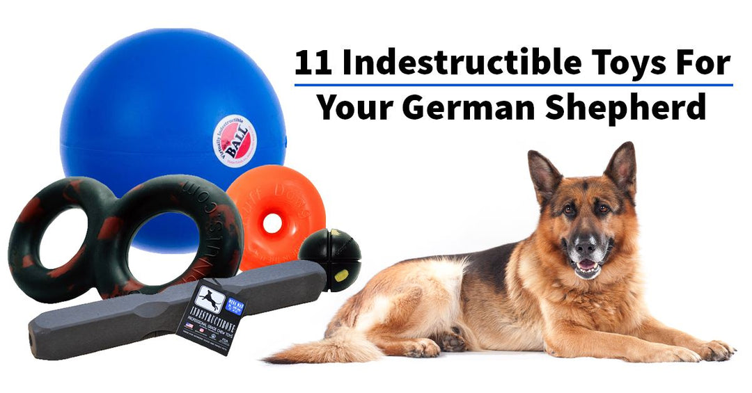 11 Indestructible Toys For Your German Shepherd