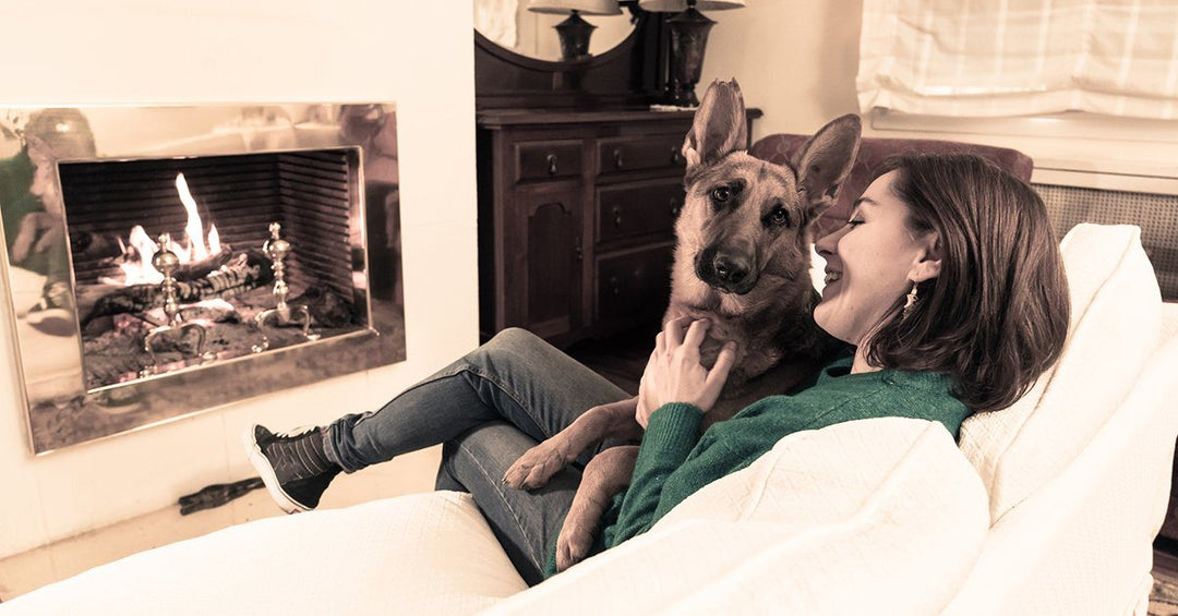 11 Statements Only True German Shepherd Owners Will Understand