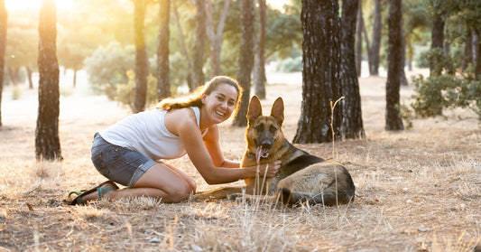 15 Signs Your German Shepherd Loves You