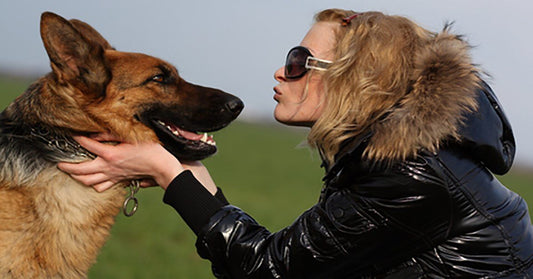 15 Things German Shepherd Dogs Don't Like About Their Owners