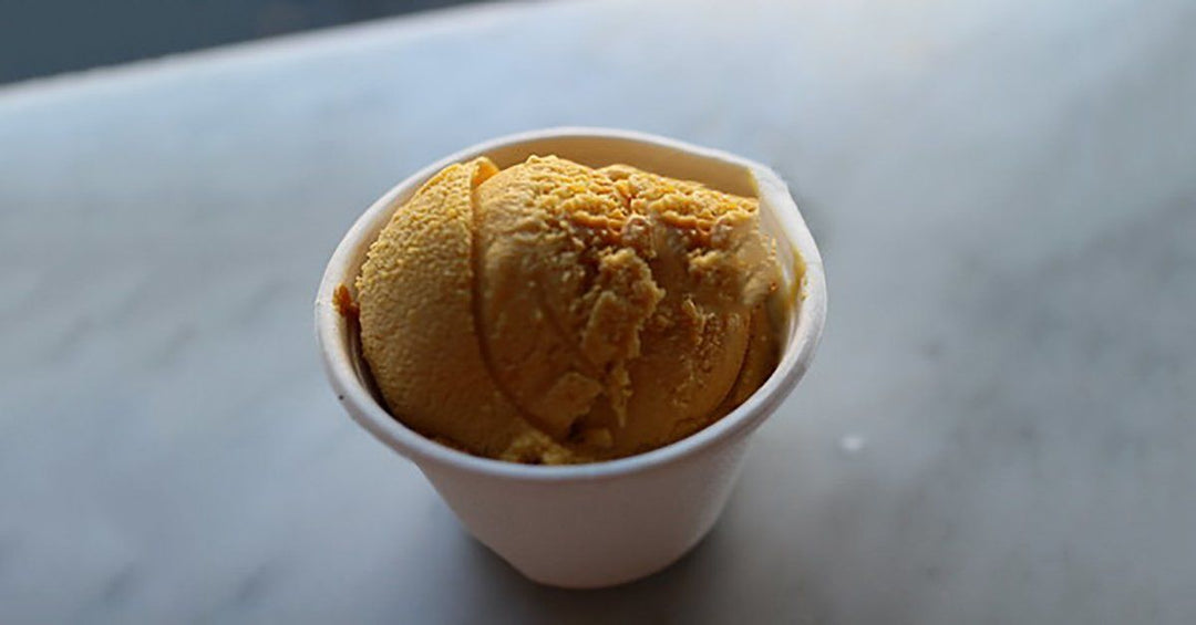 5 Pumpkin Ice Cream Recipes For Dogs