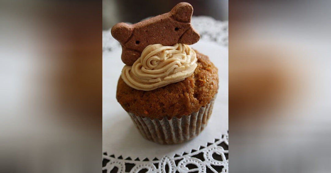 5 Pupcake Recipes your Dog is Sure to Love