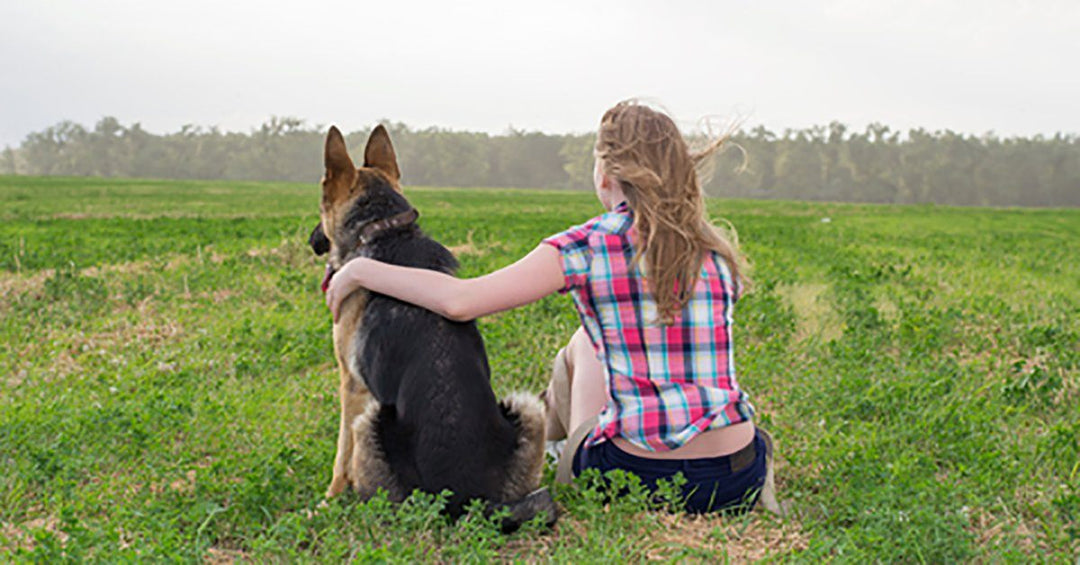 5 Ways To Tell Your Dog You Love Them In Their Own Language