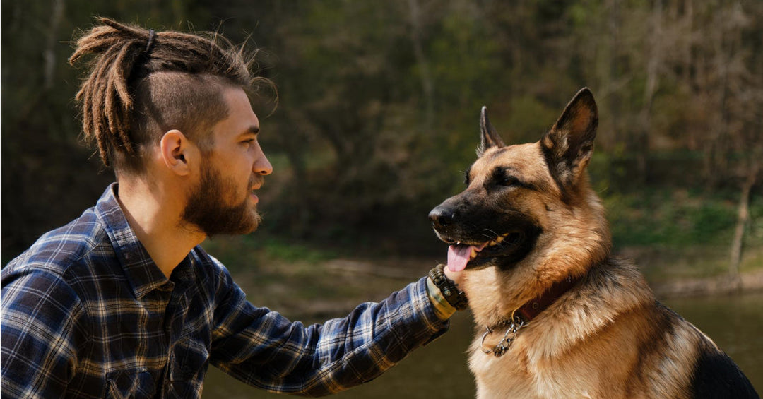 5 Ways Your German Shepherd Can Help Your Mental Health