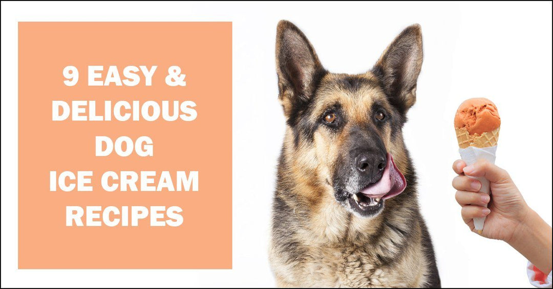 9 Easy Dog Ice Cream Recipes Just In Time For Summer