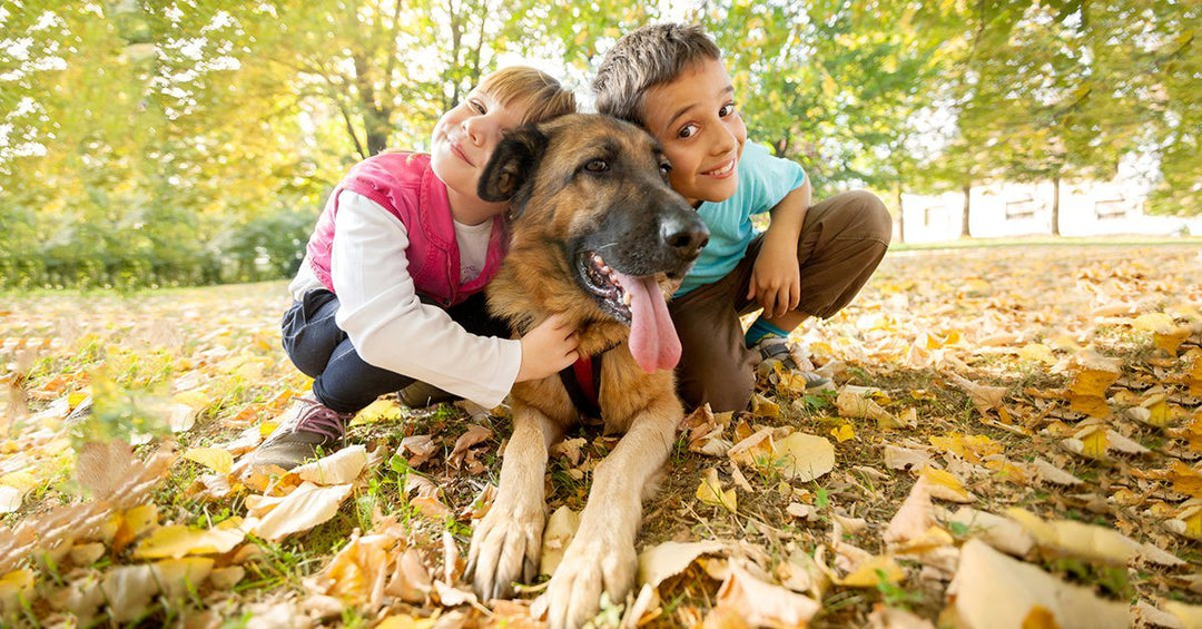 How To Keep Your Dog From Getting Rough With Kids