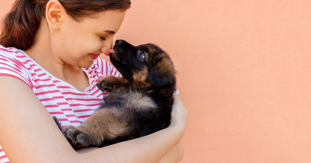 People Who Own Dogs Get Sick Less Often Than Those That Don’t