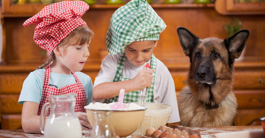 Quick Nutrition Tips For Your German Shepherd