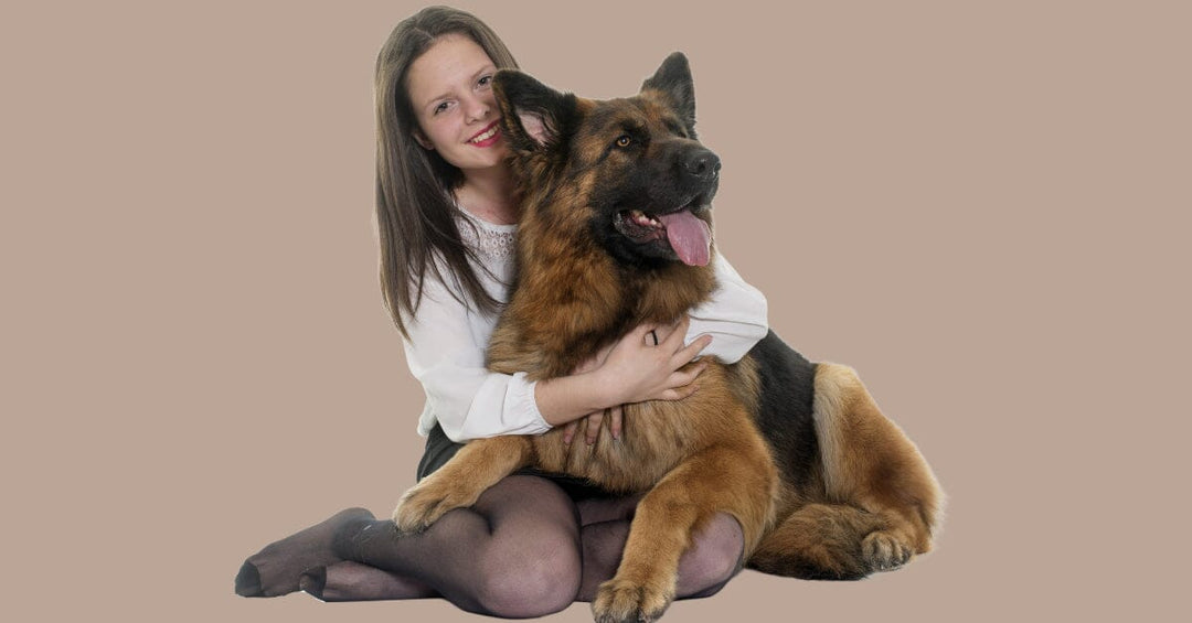 The Benefits of Canine Massage for German Shepherds