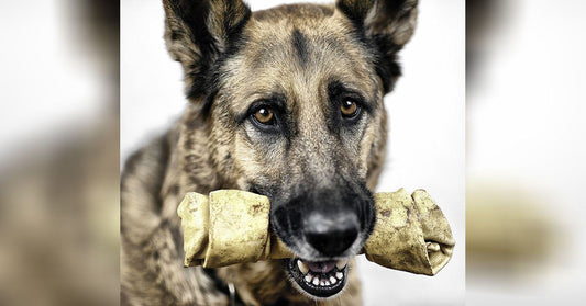 The Many Dangers of Rawhide Treats That Manufacturers Don’t Want You to Know