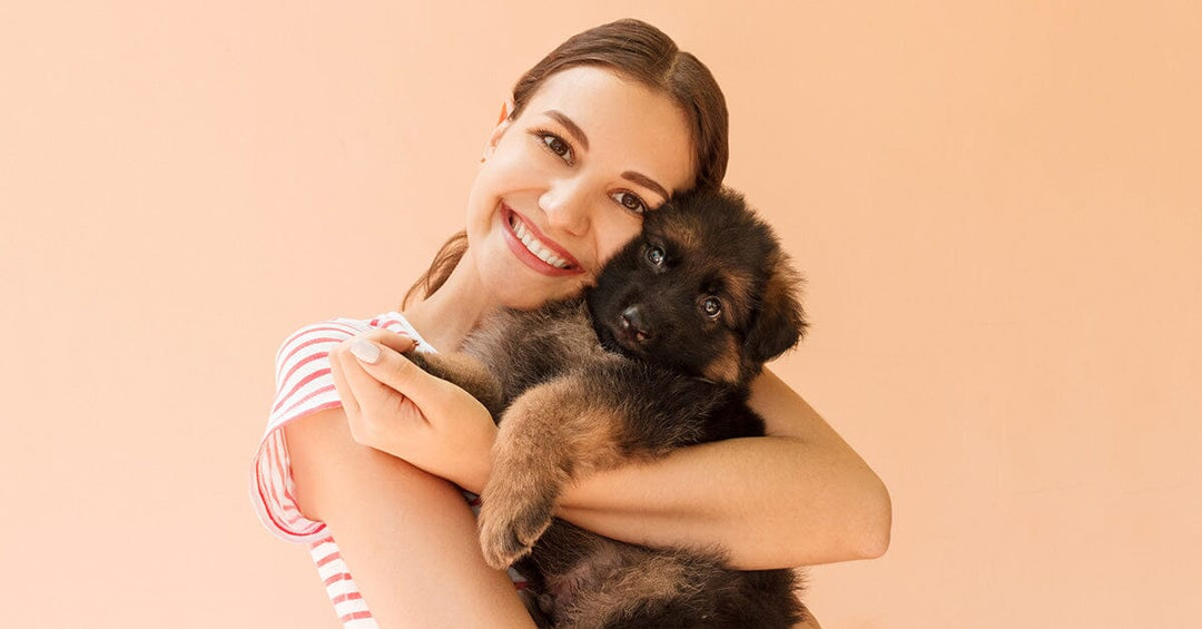 The Top 11 Must Know Tips for First Time Dog Owners