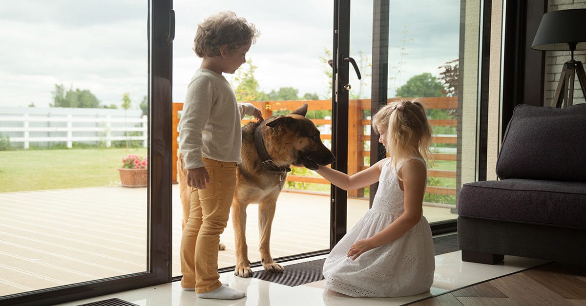 Understanding and Preventing Dog Aggression Toward Children – German ...