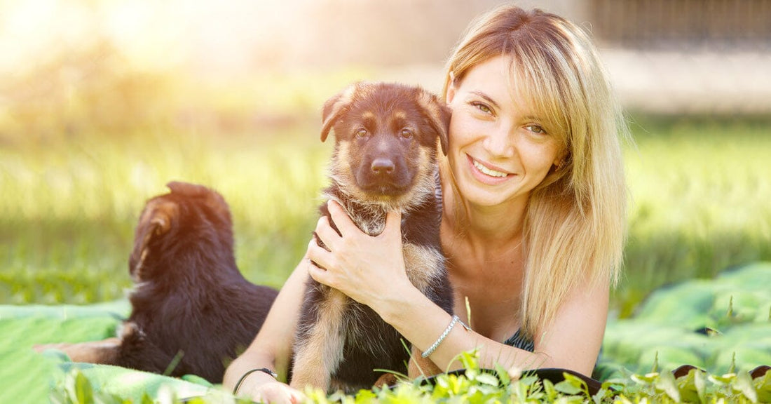 When Should I Start Introducing My Puppy To People And Other Dogs?