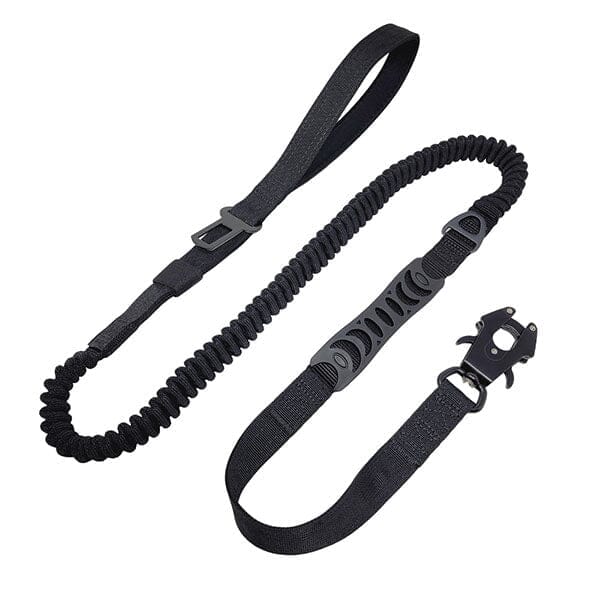 Nylon Leashes