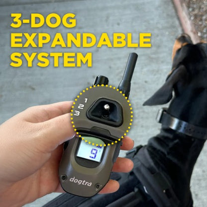 DOGTRA - 1900X 1-Dog Unit