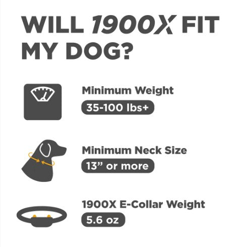 DOGTRA - 1900X 1-Dog Unit