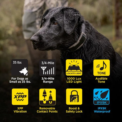 DOGTRA - 1900X 1-Dog Unit