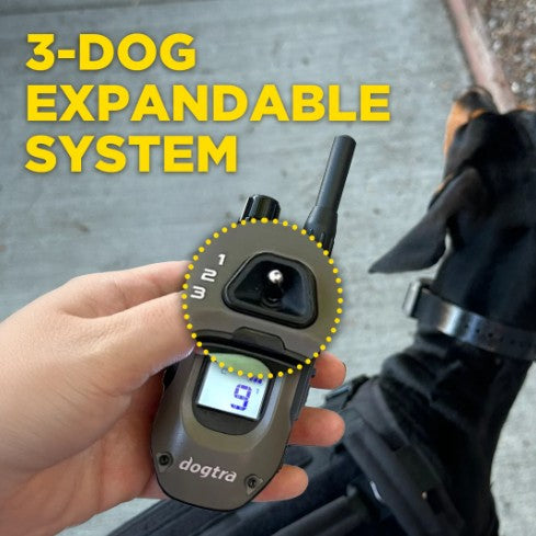 DOGTRA - 1900X 2-DOG UNIT