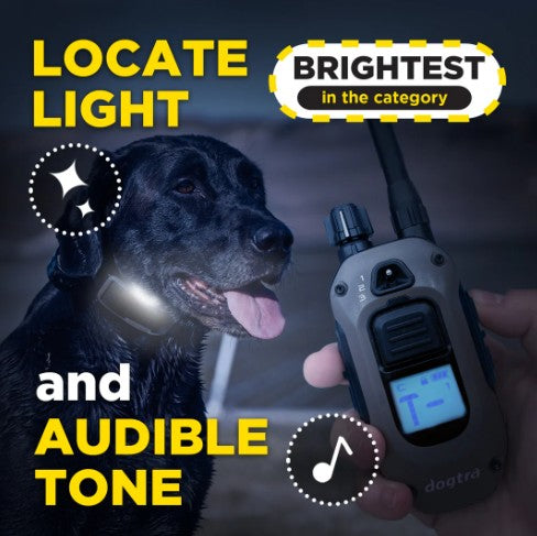 DOGTRA - 1900X 2-DOG UNIT