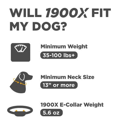 DOGTRA - 1900X 2-DOG UNIT