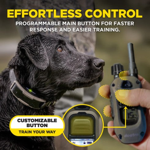DOGTRA - 1900X 2-DOG UNIT