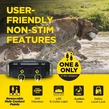 DOGTRA - 1900X 1-Dog Unit