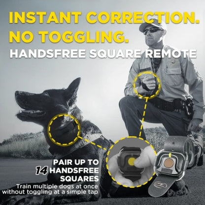 DOGTRA 1900X BLACK EDITION 1-DOG UNIT