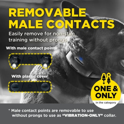 DOGTRA 1900X BLACK EDITION 1-DOG UNIT