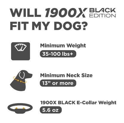 DOGTRA 1900X BLACK EDITION 1-DOG UNIT