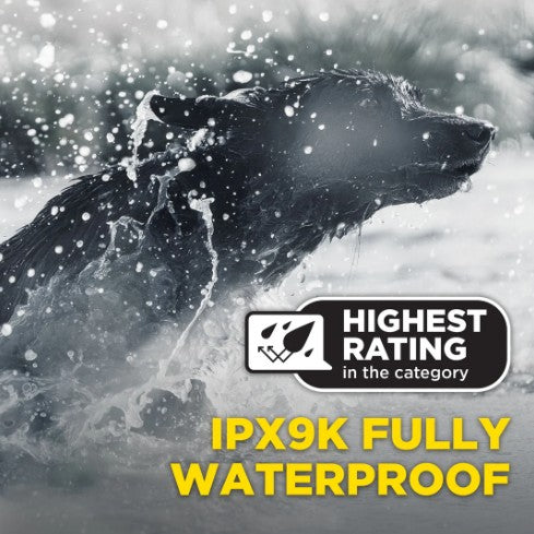 DOGTRA 1900X BLACK EDITION 1-DOG UNIT