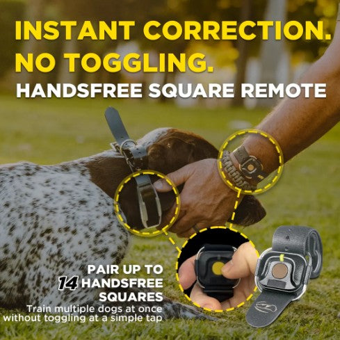 DOGTRA - 1900X HANDSFREE 1-DOG UNIT