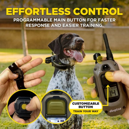 DOGTRA - 1900X HANDSFREE 1-DOG UNIT