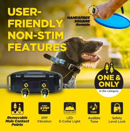 DOGTRA - 1900X HANDSFREE 1-DOG UNIT