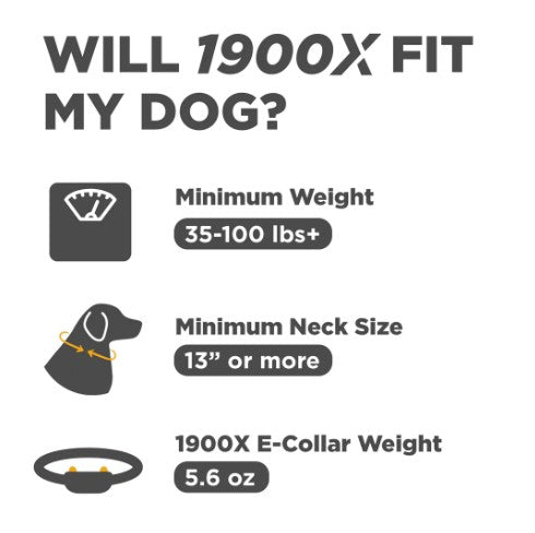 DOGTRA - 1900X ADDITIONAL RECEIVER