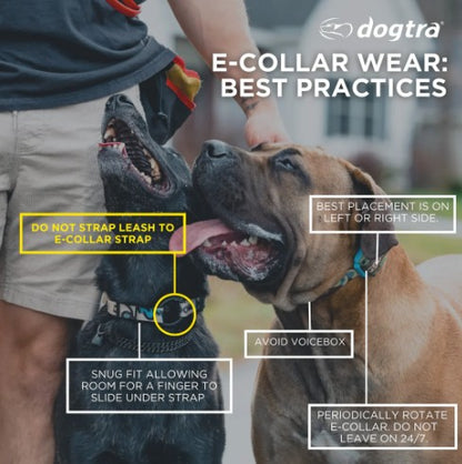 DOGTRA - 1900X ADDITIONAL RECEIVER