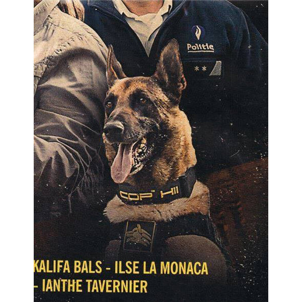 K9 EVOLUTION - 2" Tactical COP Collar With Handle