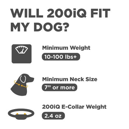 DOGTRA - 200iQ 1-DOG UNIT